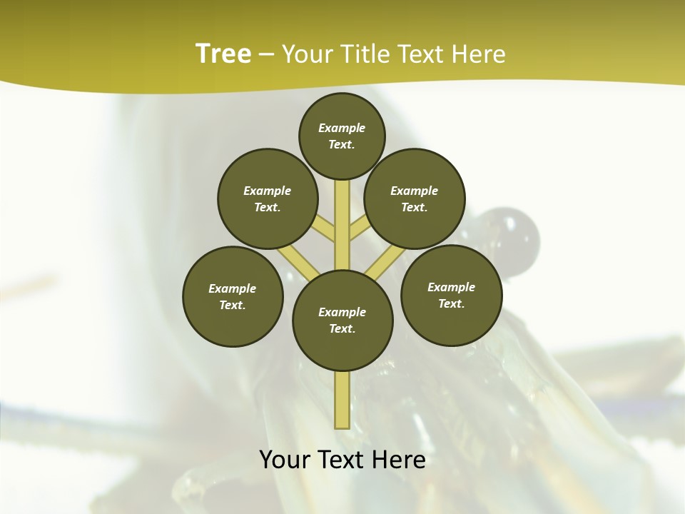 Tasty Delicious Meal PowerPoint Template