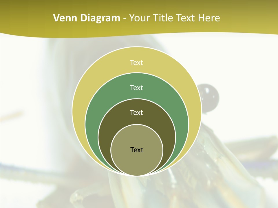 Tasty Delicious Meal PowerPoint Template