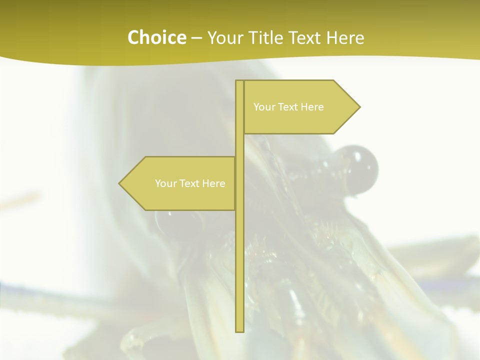 Tasty Delicious Meal PowerPoint Template