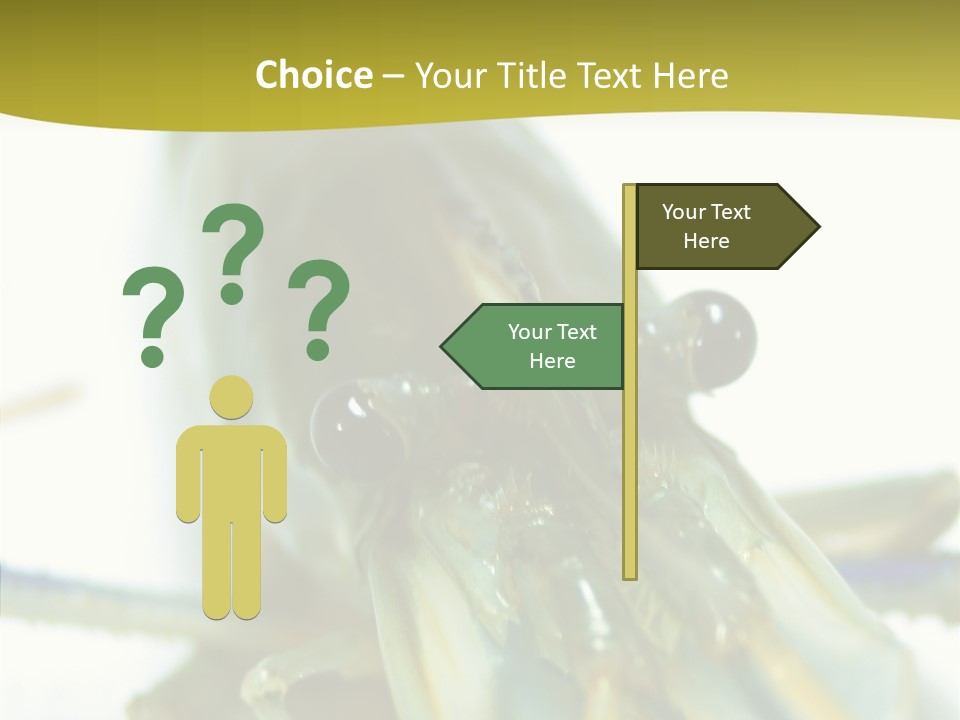 Tasty Delicious Meal PowerPoint Template