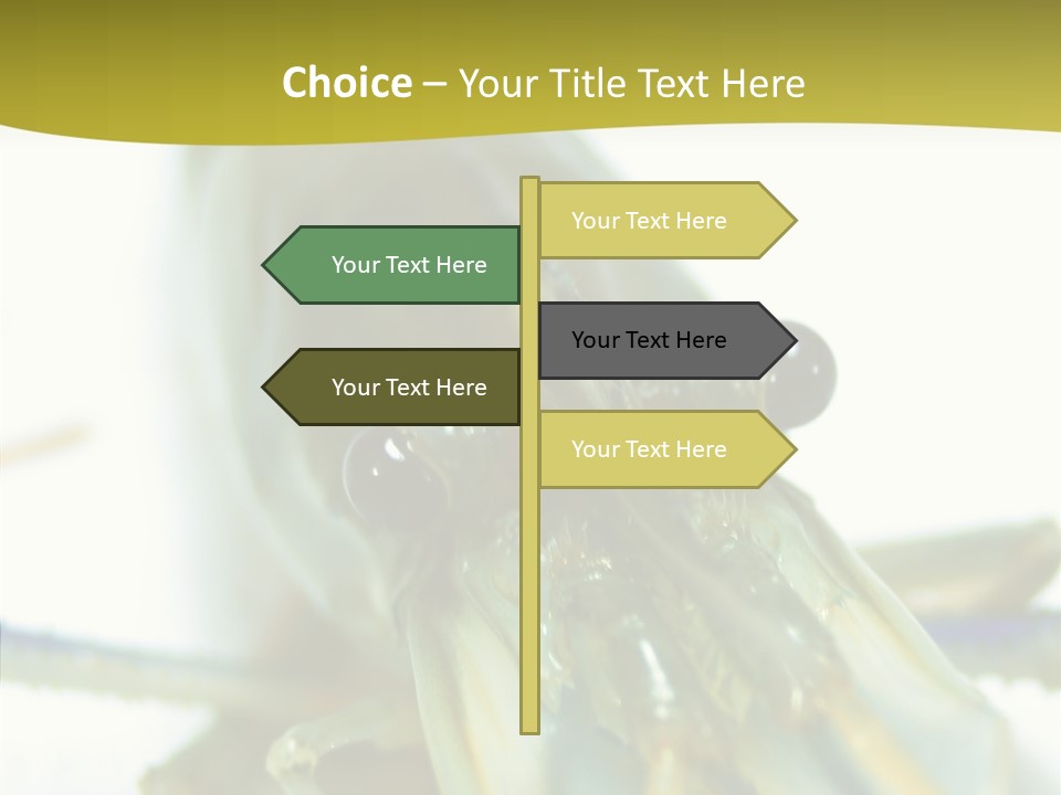Tasty Delicious Meal PowerPoint Template