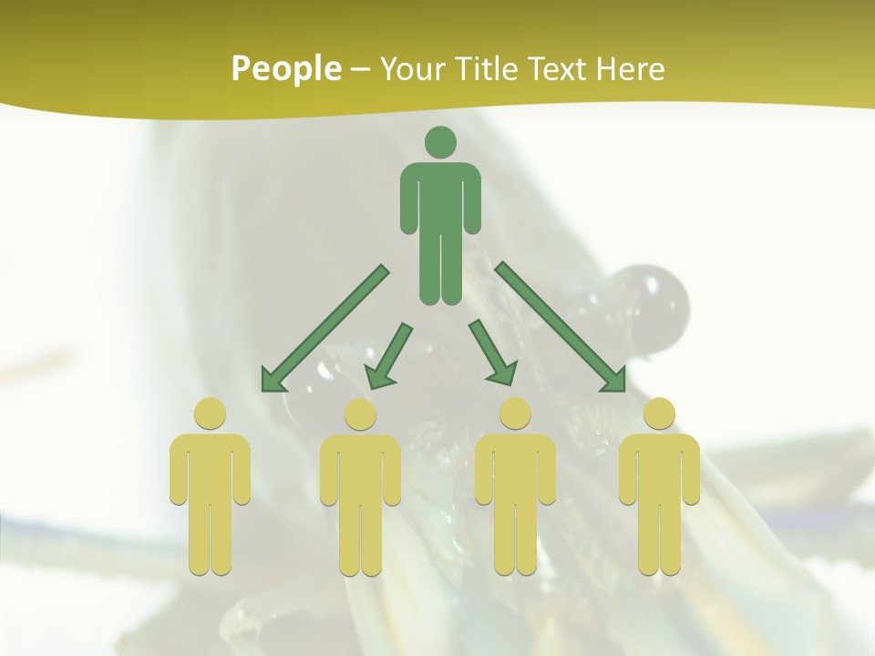 Tasty Delicious Meal PowerPoint Template