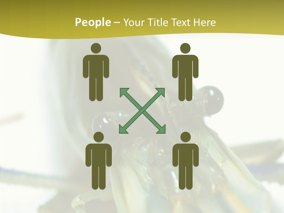 Tasty Delicious Meal PowerPoint Template