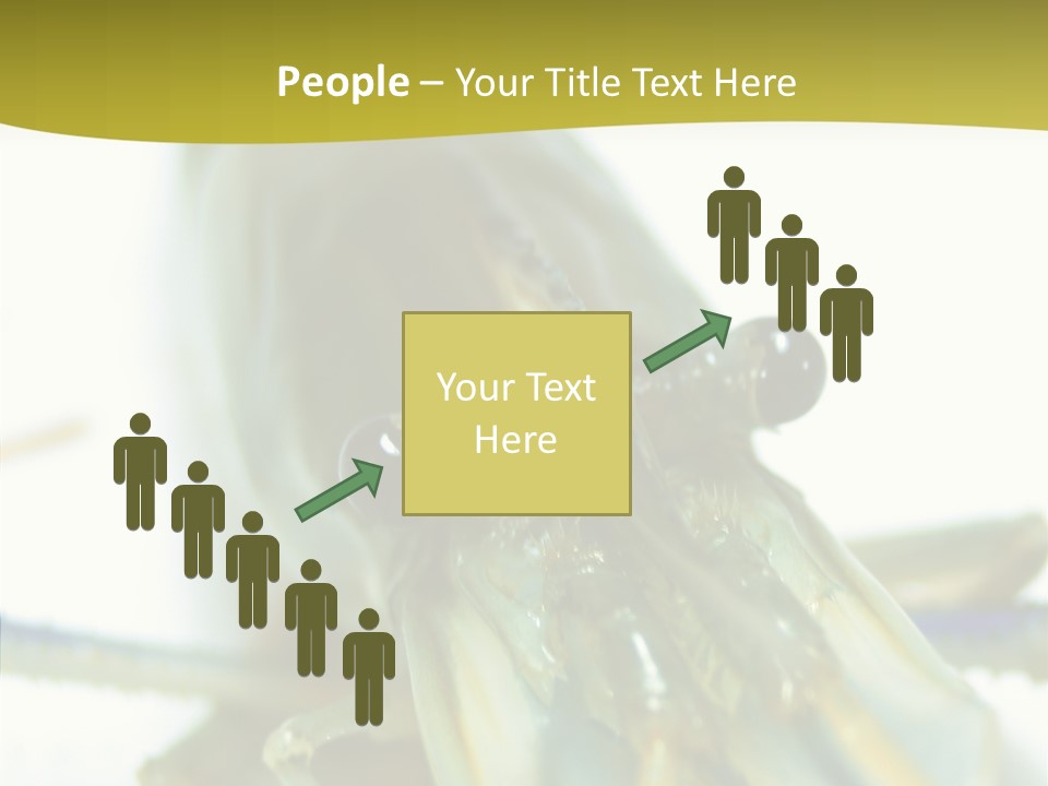 Tasty Delicious Meal PowerPoint Template