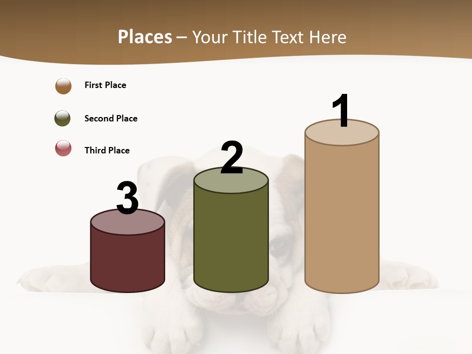 Friend Domestic Animals Breed PowerPoint Template