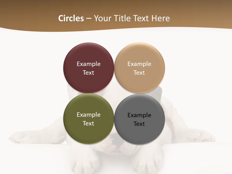 Friend Domestic Animals Breed PowerPoint Template