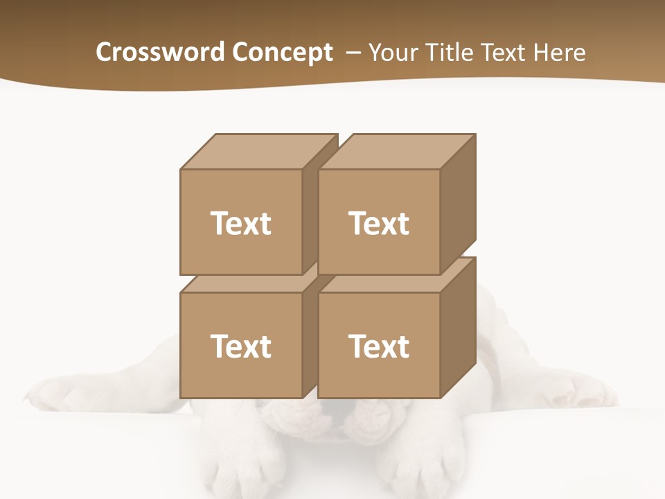 Friend Domestic Animals Breed PowerPoint Template