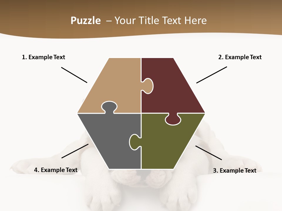 Friend Domestic Animals Breed PowerPoint Template