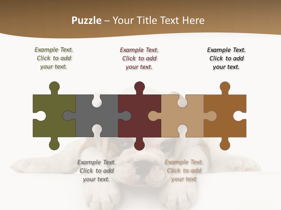 Friend Domestic Animals Breed PowerPoint Template