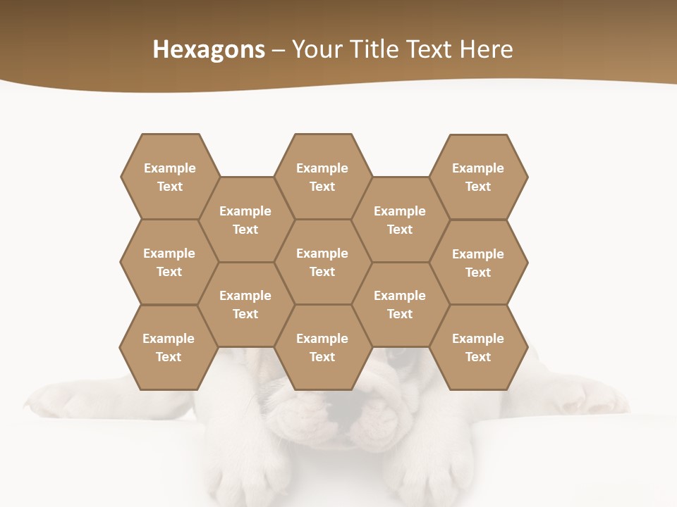 Friend Domestic Animals Breed PowerPoint Template