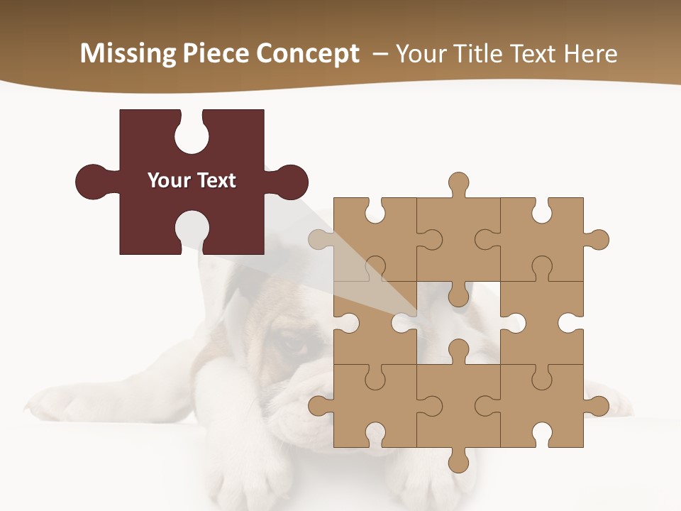 Friend Domestic Animals Breed PowerPoint Template