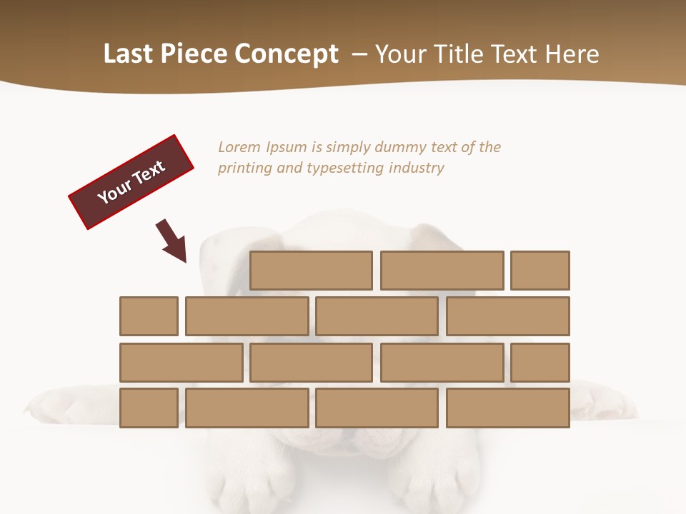 Friend Domestic Animals Breed PowerPoint Template