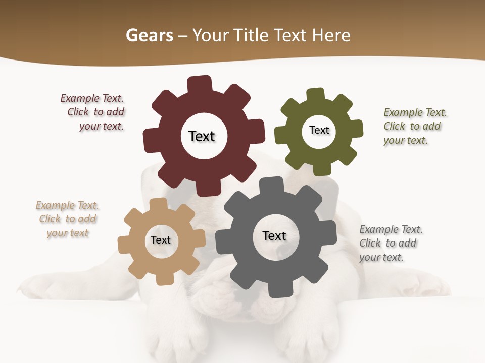 Friend Domestic Animals Breed PowerPoint Template