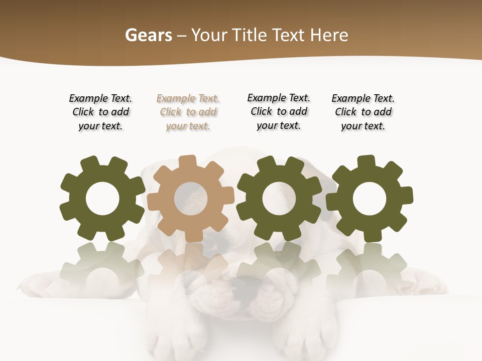 Friend Domestic Animals Breed PowerPoint Template