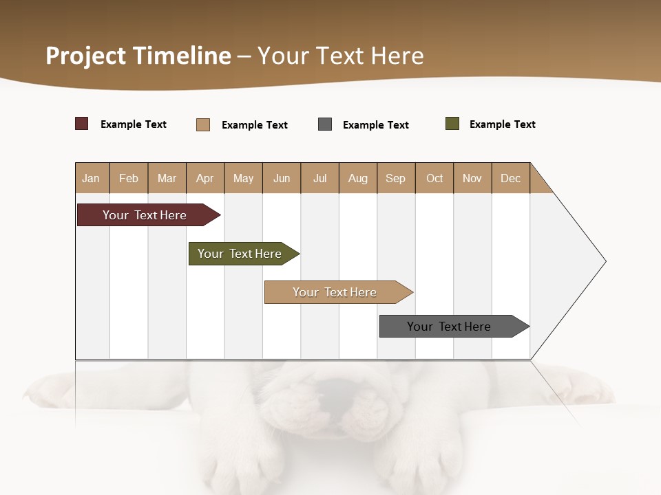 Friend Domestic Animals Breed PowerPoint Template