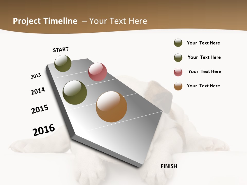 Friend Domestic Animals Breed PowerPoint Template