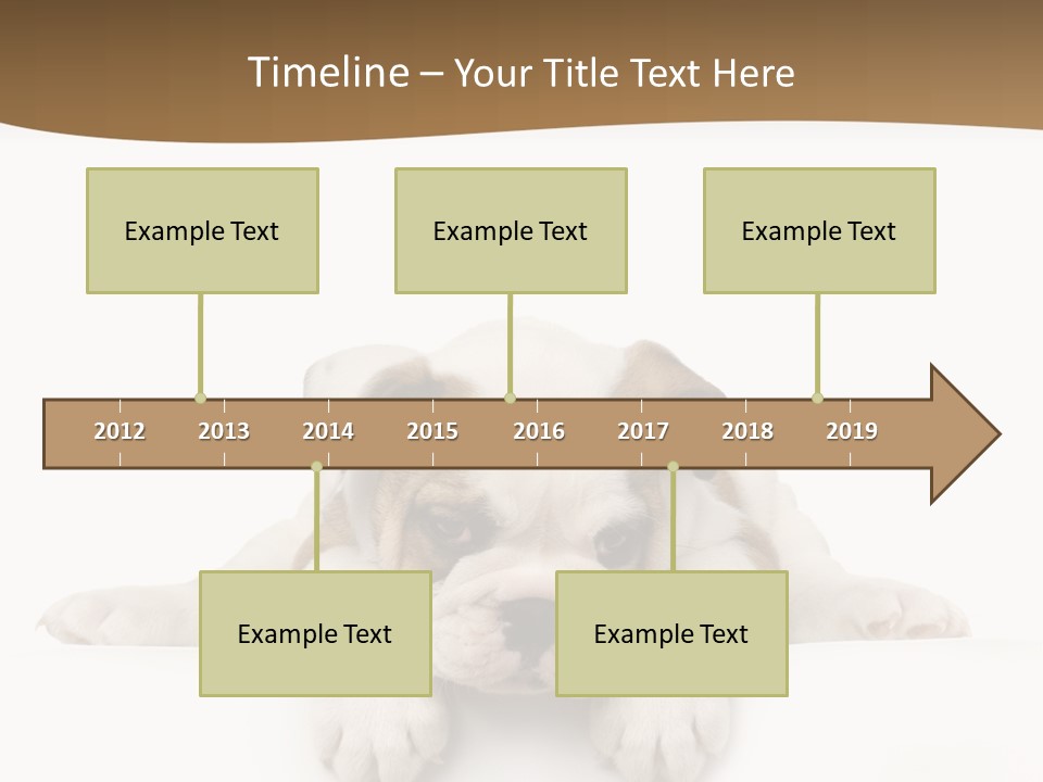 Friend Domestic Animals Breed PowerPoint Template