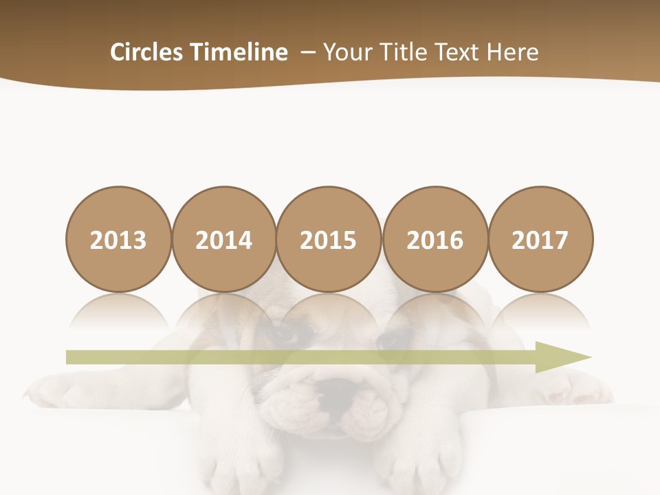 Friend Domestic Animals Breed PowerPoint Template