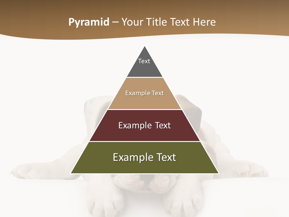 Friend Domestic Animals Breed PowerPoint Template