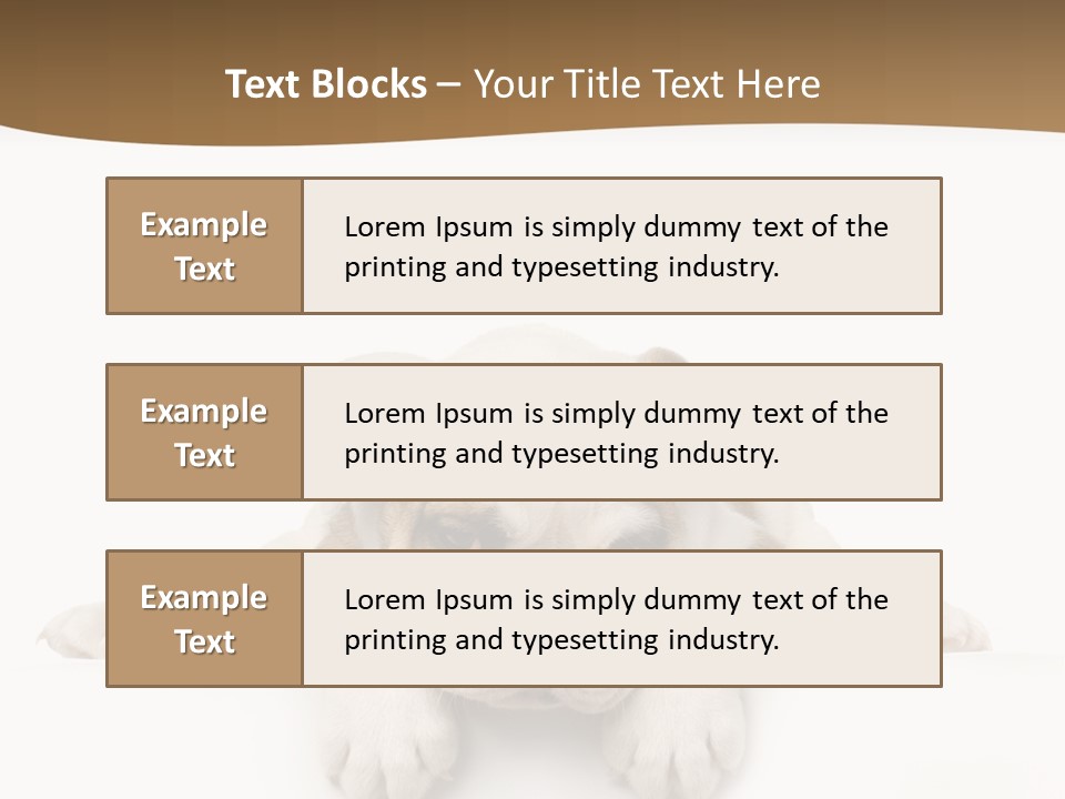 Friend Domestic Animals Breed PowerPoint Template