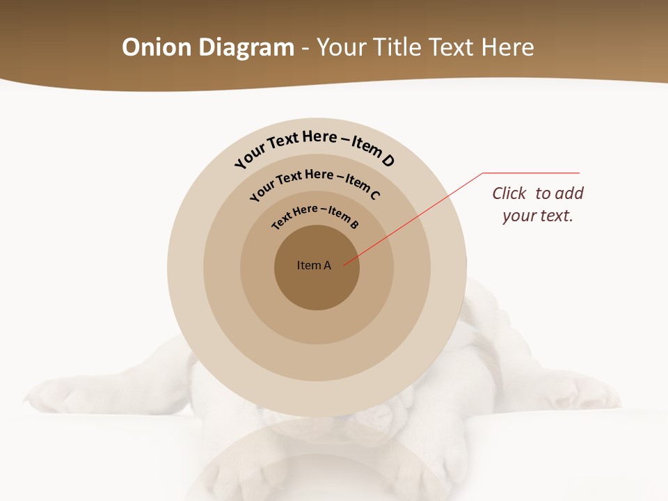 Friend Domestic Animals Breed PowerPoint Template