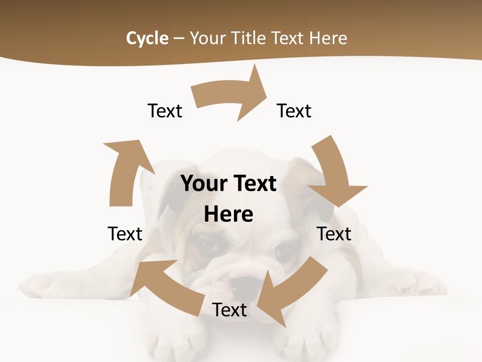 Friend Domestic Animals Breed PowerPoint Template