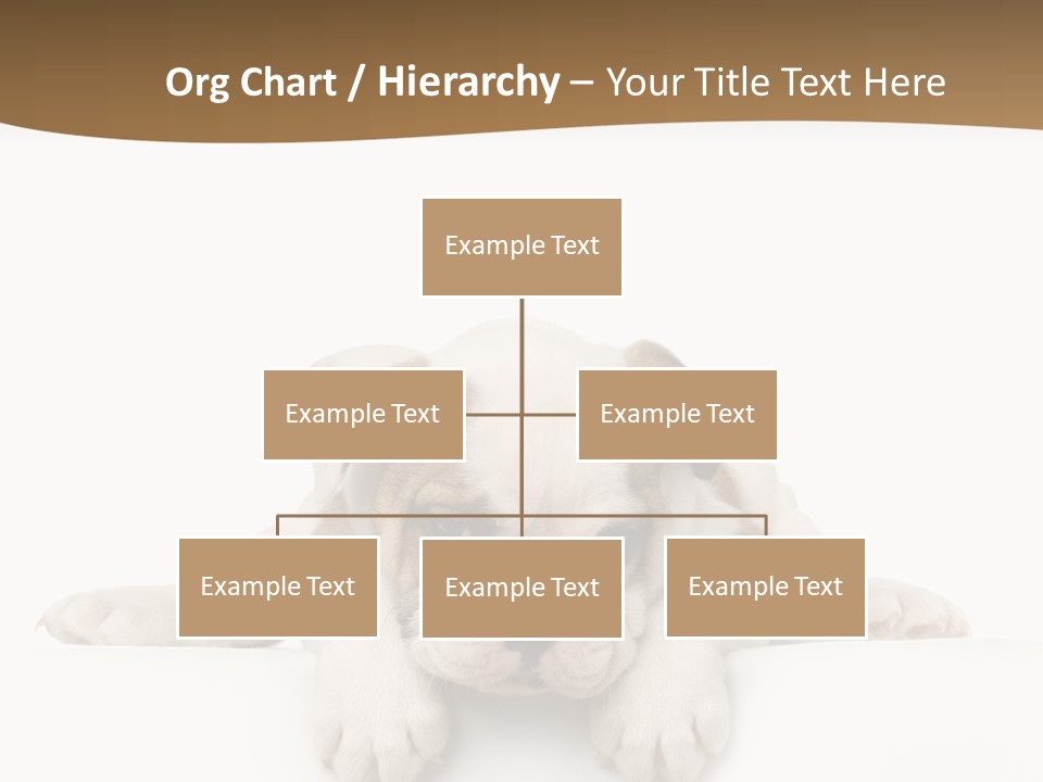 Friend Domestic Animals Breed PowerPoint Template