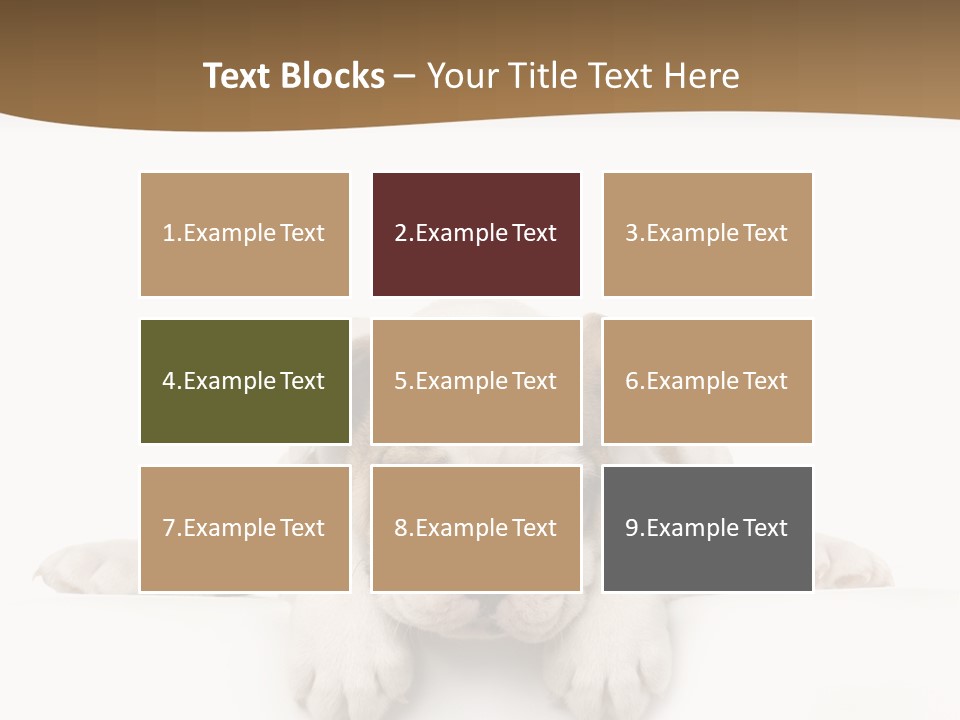 Friend Domestic Animals Breed PowerPoint Template