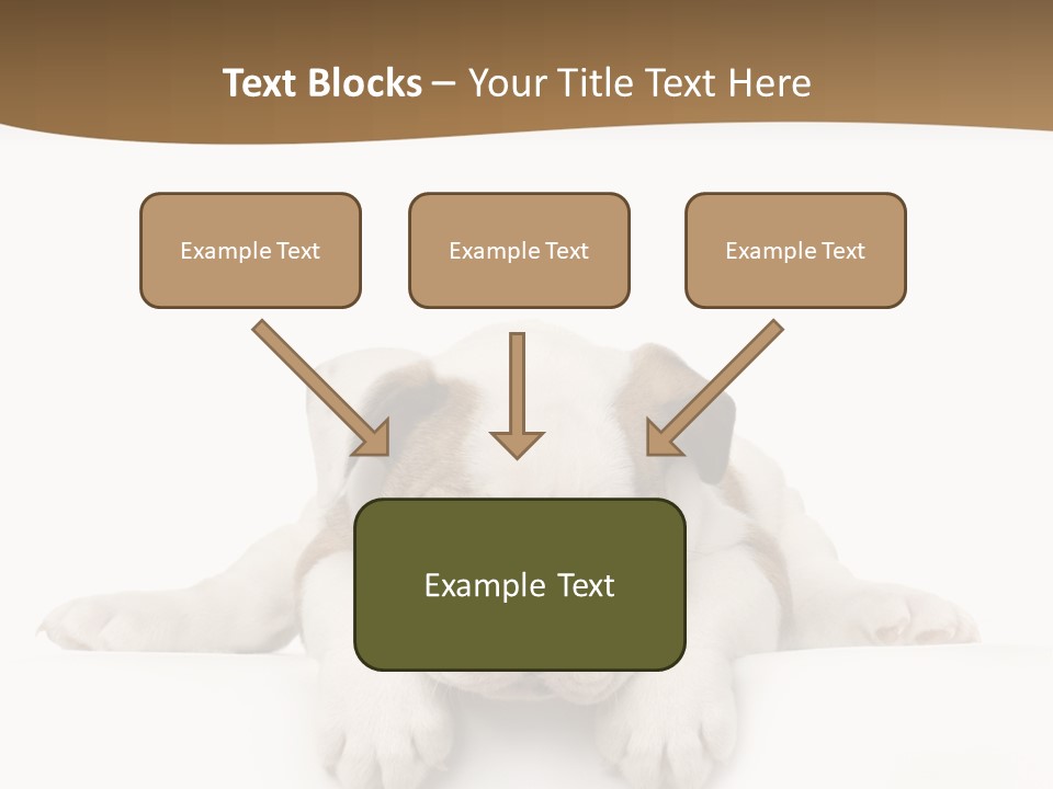 Friend Domestic Animals Breed PowerPoint Template