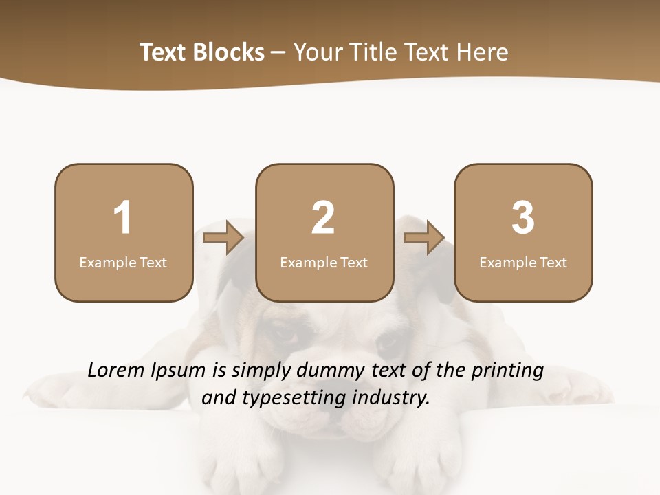 Friend Domestic Animals Breed PowerPoint Template