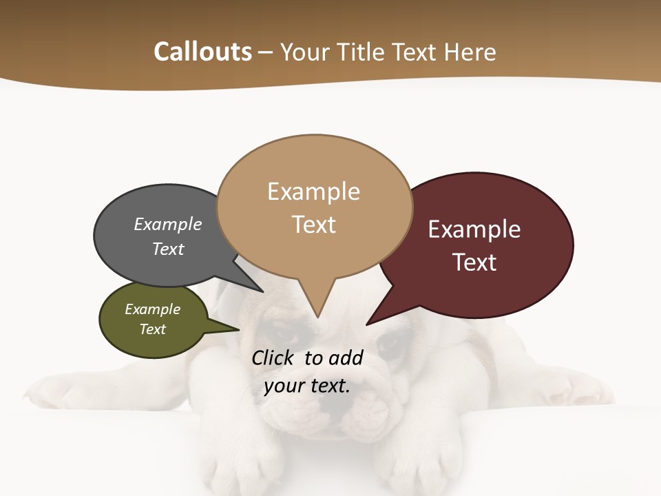 Friend Domestic Animals Breed PowerPoint Template