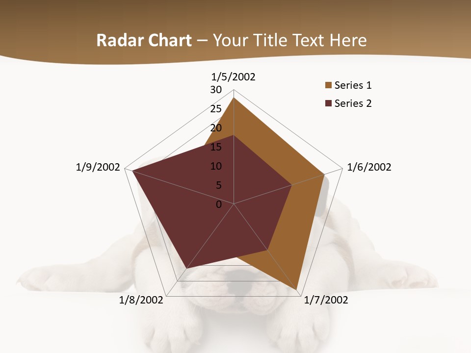 Friend Domestic Animals Breed PowerPoint Template