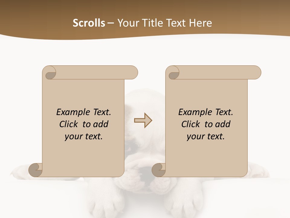 Friend Domestic Animals Breed PowerPoint Template