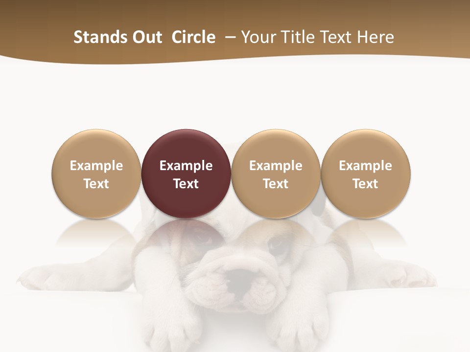 Friend Domestic Animals Breed PowerPoint Template