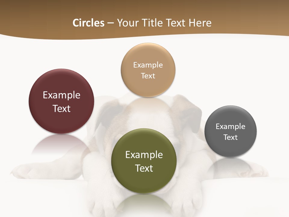 Friend Domestic Animals Breed PowerPoint Template