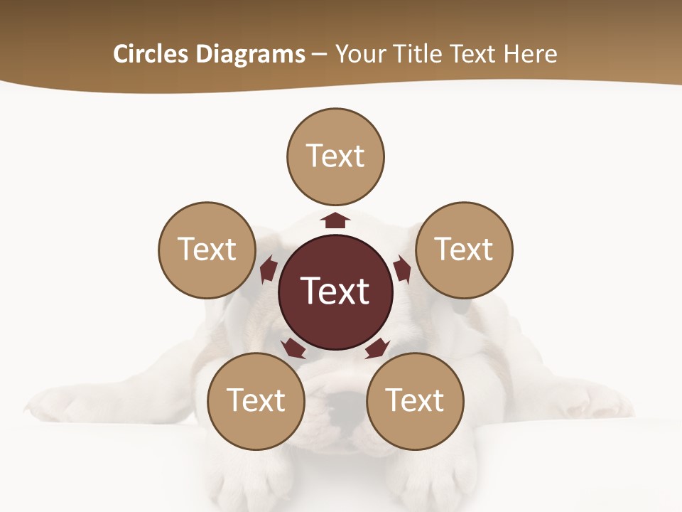 Friend Domestic Animals Breed PowerPoint Template