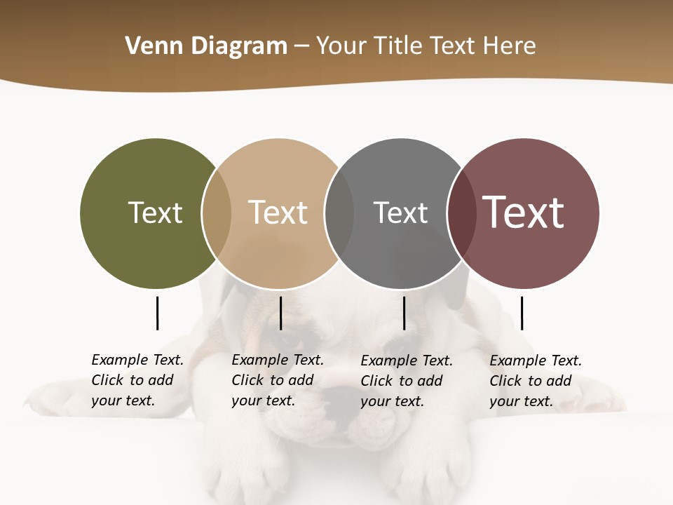 Friend Domestic Animals Breed PowerPoint Template