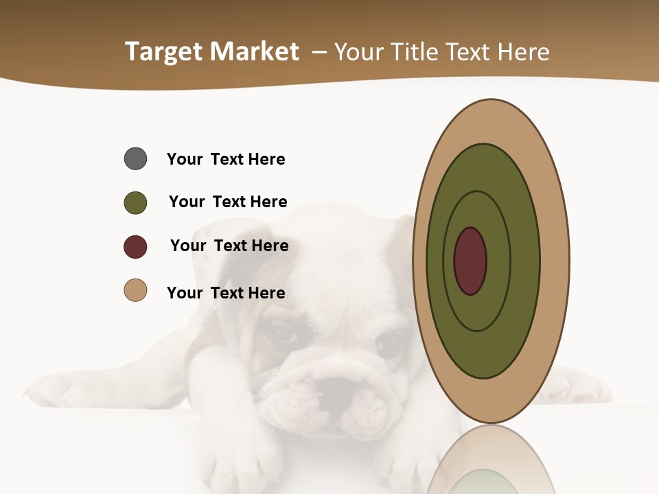 Friend Domestic Animals Breed PowerPoint Template
