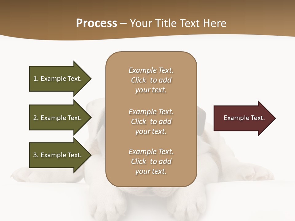 Friend Domestic Animals Breed PowerPoint Template