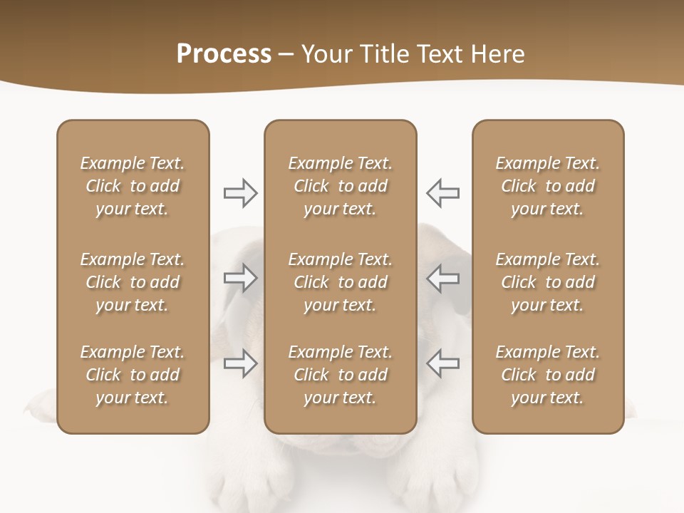 Friend Domestic Animals Breed PowerPoint Template