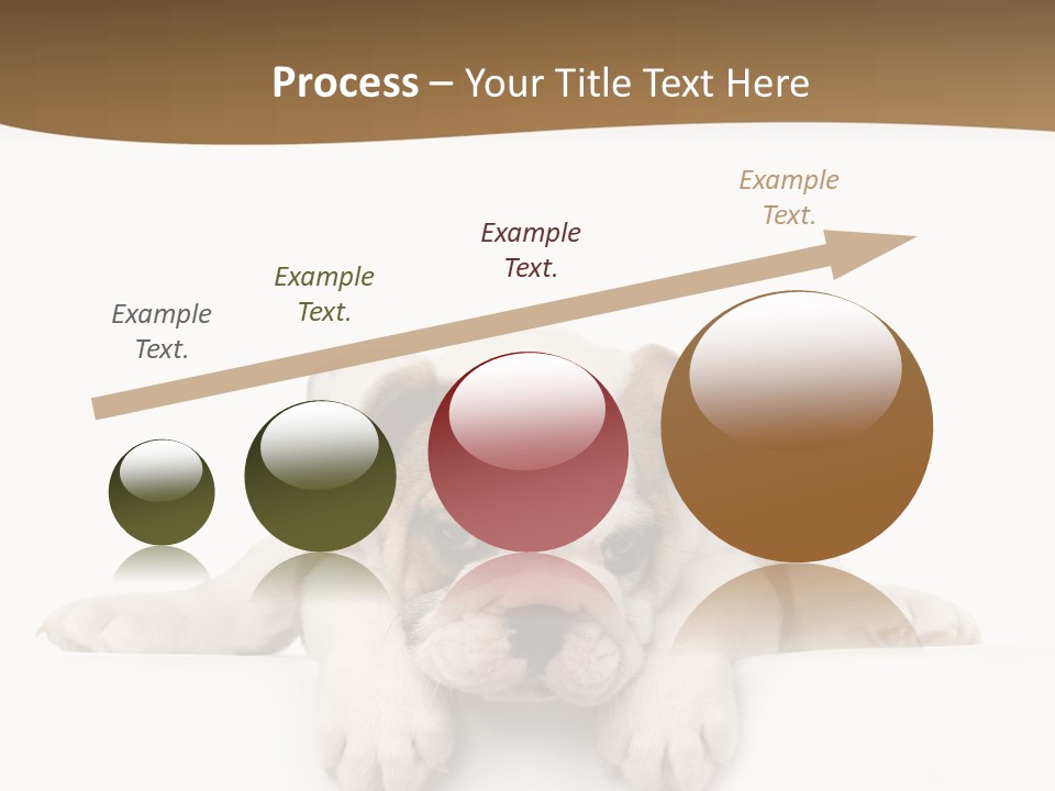 Friend Domestic Animals Breed PowerPoint Template