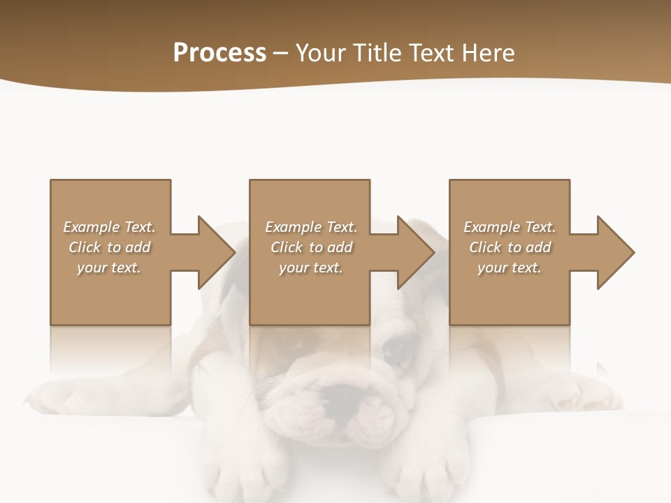 Friend Domestic Animals Breed PowerPoint Template