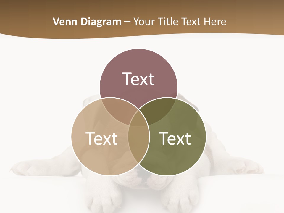 Friend Domestic Animals Breed PowerPoint Template