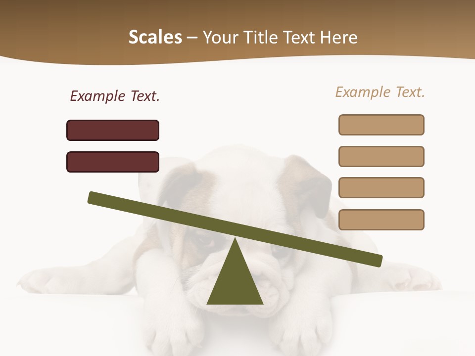 Friend Domestic Animals Breed PowerPoint Template