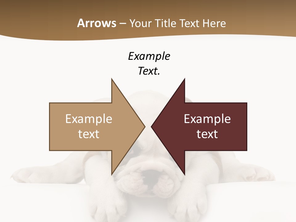 Friend Domestic Animals Breed PowerPoint Template