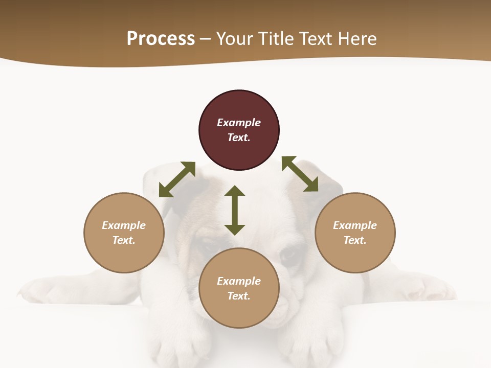 Friend Domestic Animals Breed PowerPoint Template