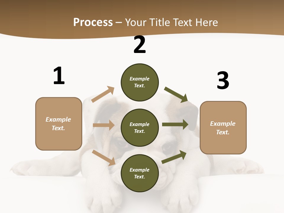 Friend Domestic Animals Breed PowerPoint Template