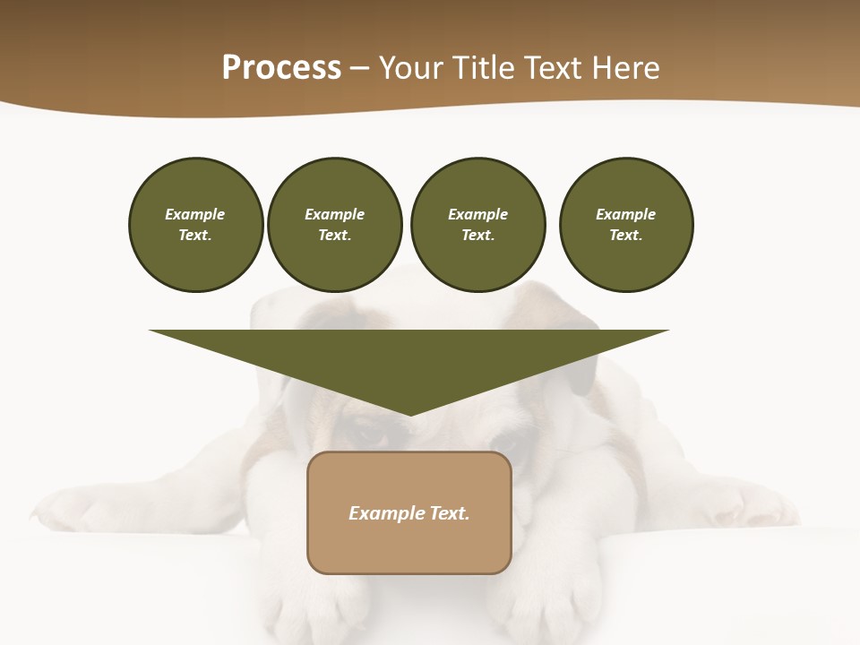 Friend Domestic Animals Breed PowerPoint Template