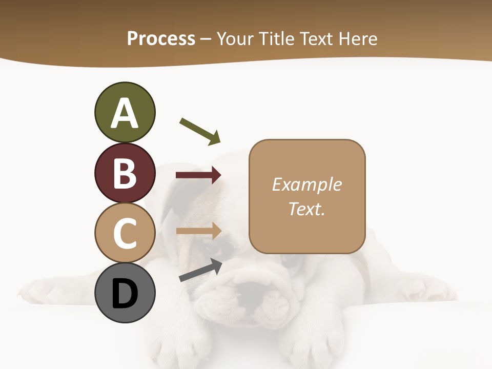 Friend Domestic Animals Breed PowerPoint Template