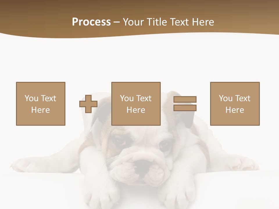 Friend Domestic Animals Breed PowerPoint Template